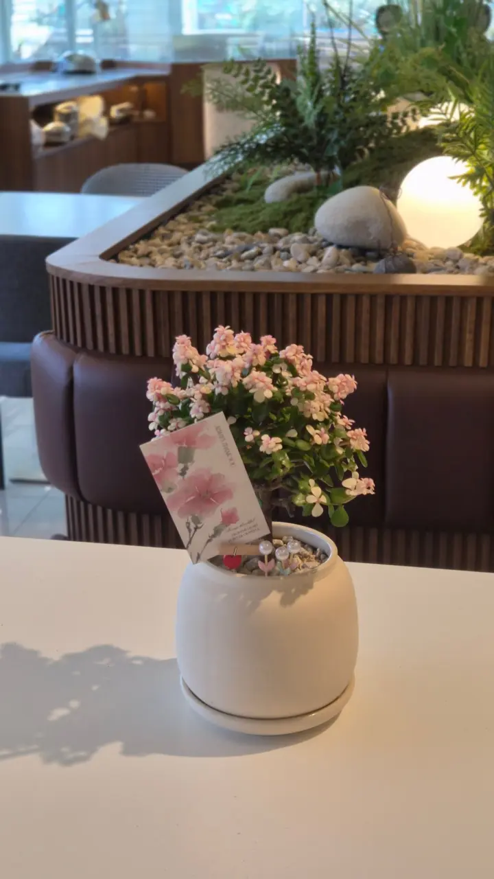 메시지 카드를 꽂아 완성한 꽃나무 화분